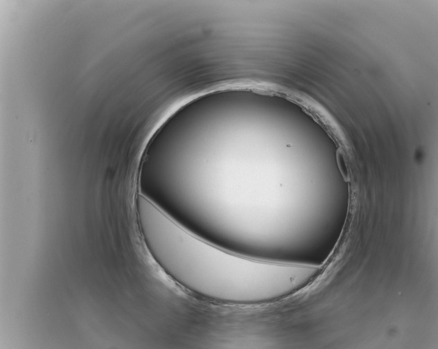 X0000095120860200712070942