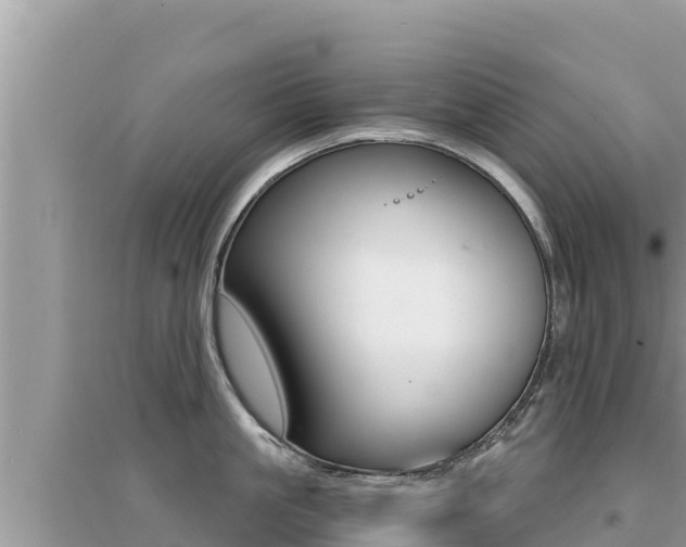 X0000095120861200712070942