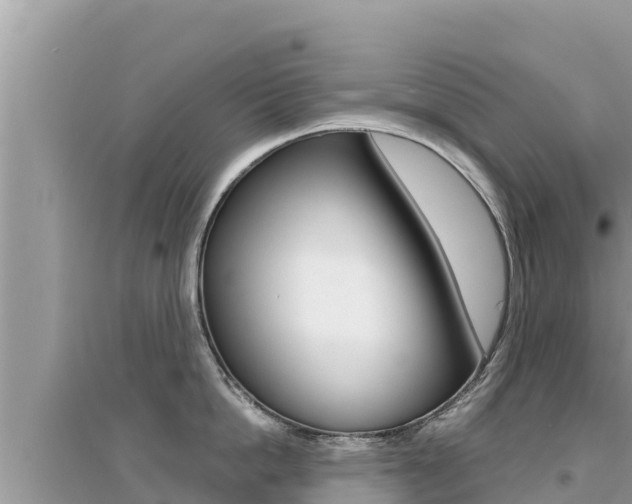 X0000095120862200712070942