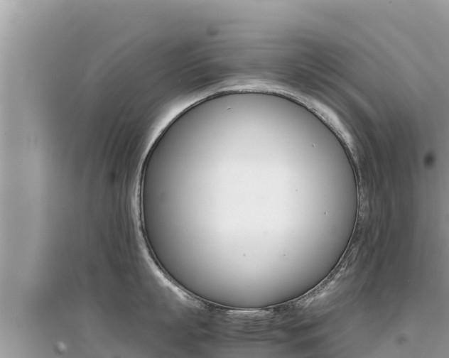 X0000095120863200712070942