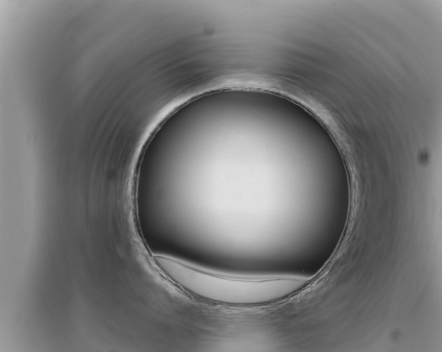 X0000095120864200712070942