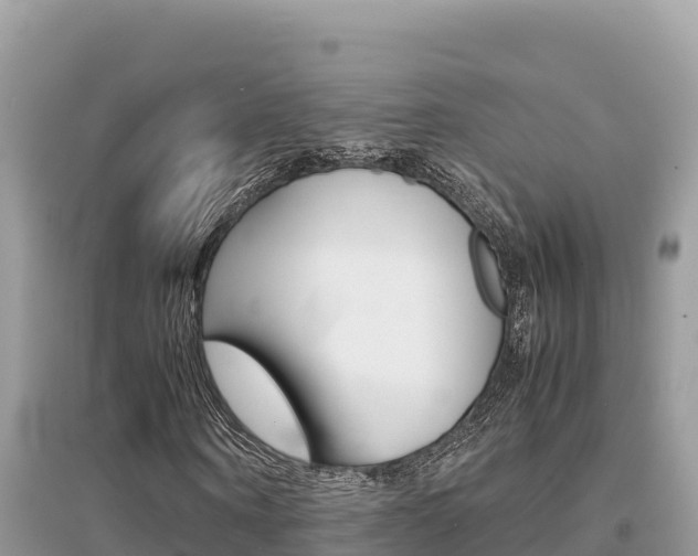 X0000095120866200712070941