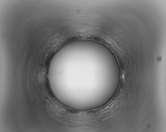 X0000095120867200712070941