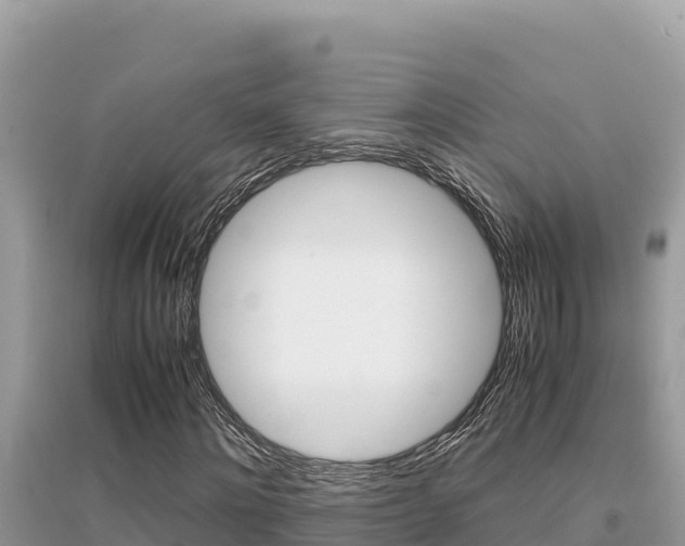 X0000095120868200712070941