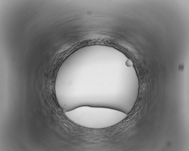 X0000095120869200712070941