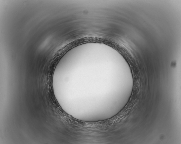 X0000095120870200712070941