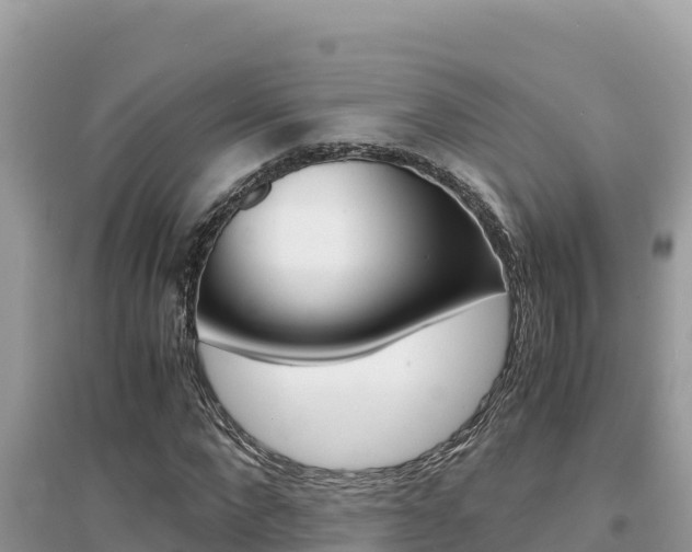 X0000095120872200712070941