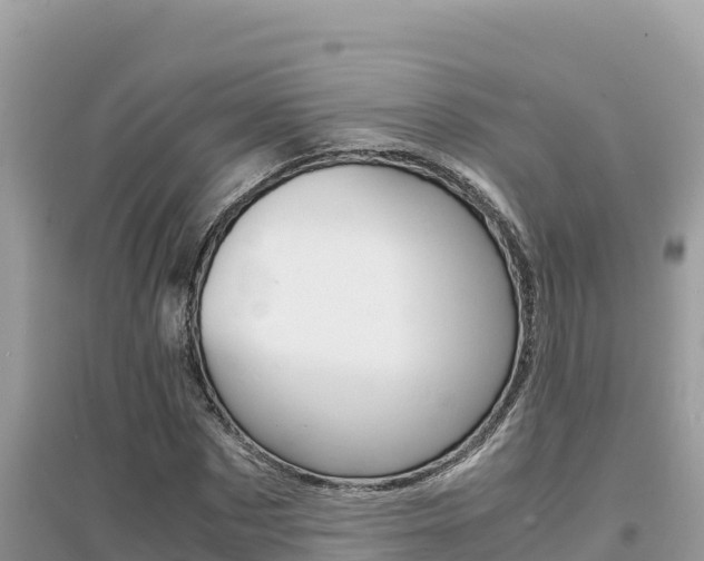 X0000095120873200712070941