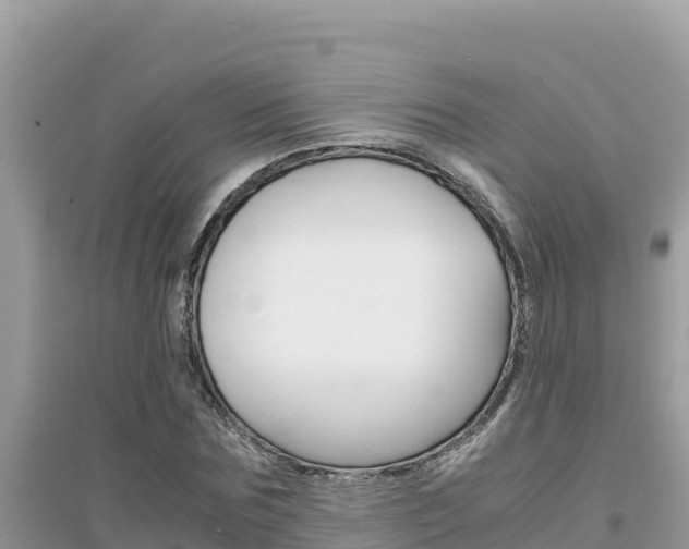 X0000095120875200712070941