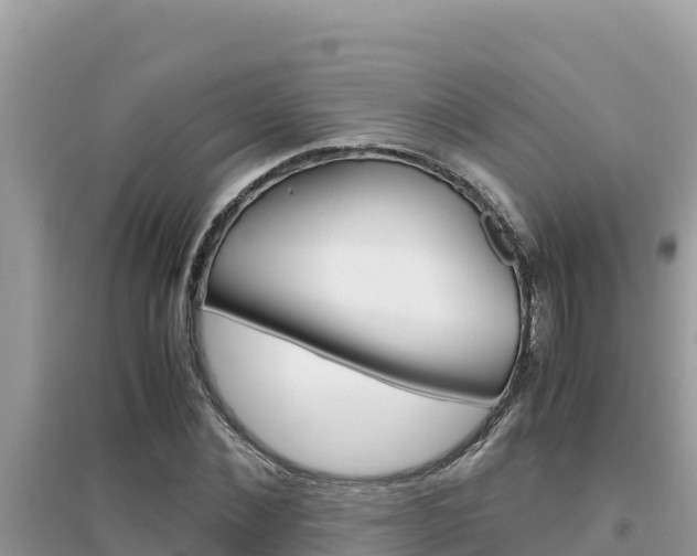 X0000095120876200712070941
