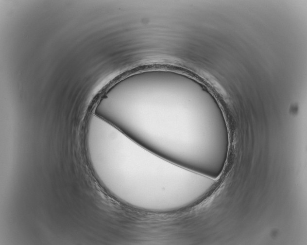 X0000095120877200712070941