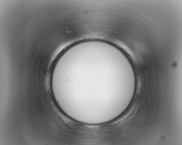 X0000095120878200712070941
