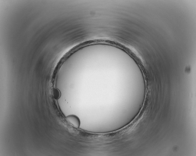 X0000095120879200712070941