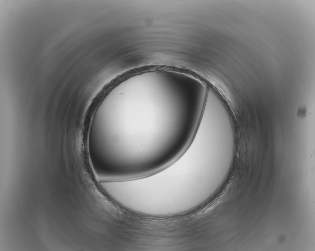 X0000095120880200712070941
