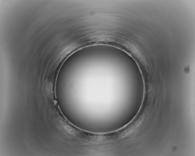 X0000095120881200712070941