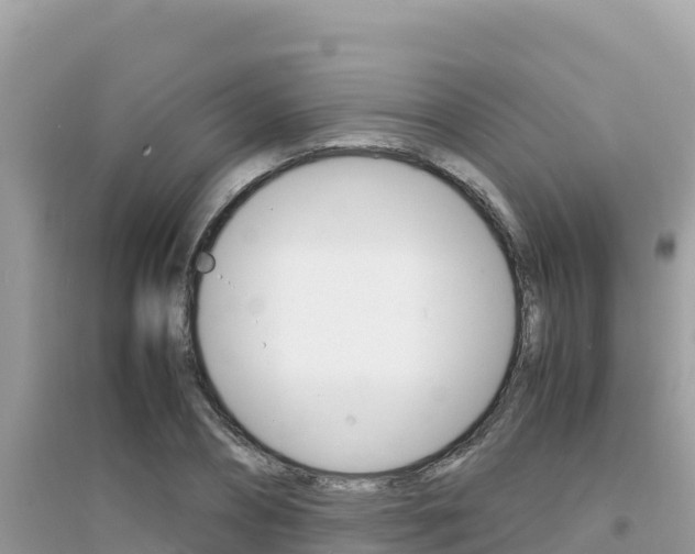 X0000095120882200712070940