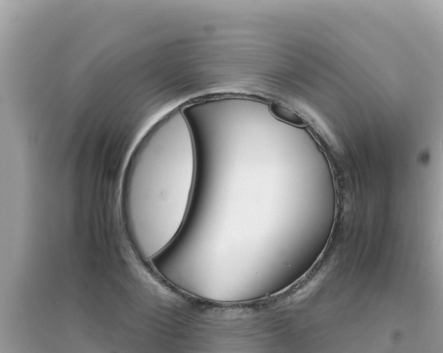 X0000095120884200712070940