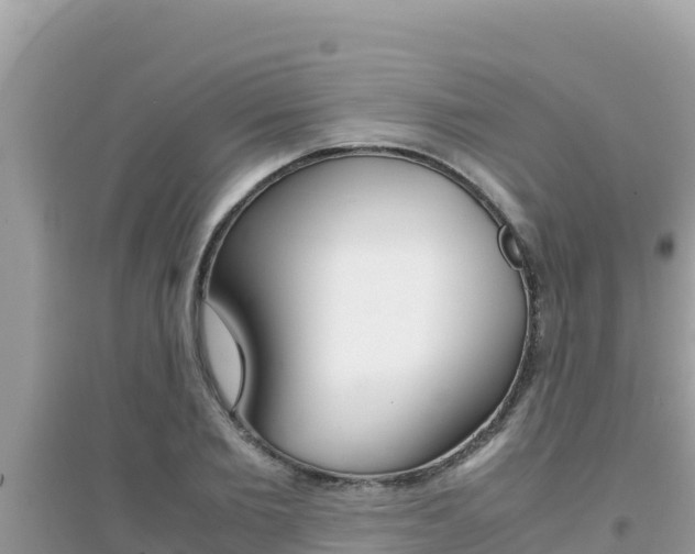 X0000095120885200712070940