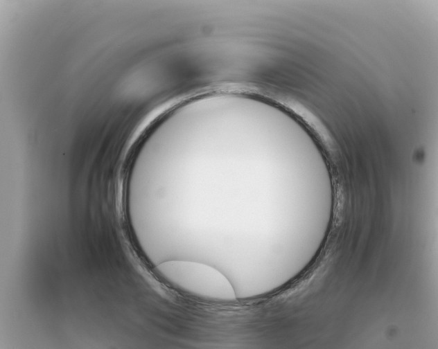 X0000095120886200712070940