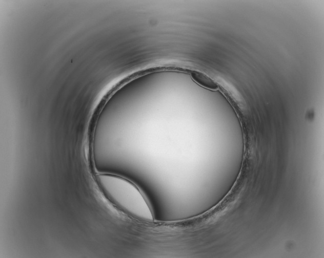 X0000095120888200712070940