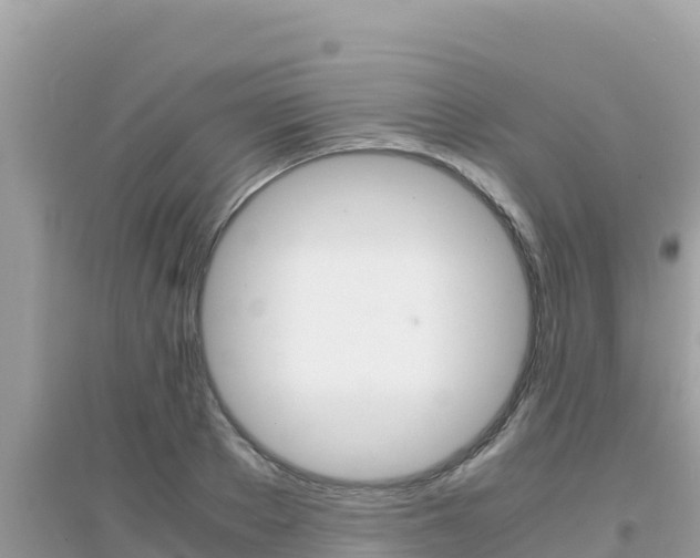 X0000095120889200712070940