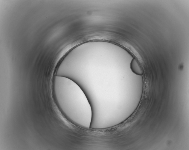 X0000095120890200712070940