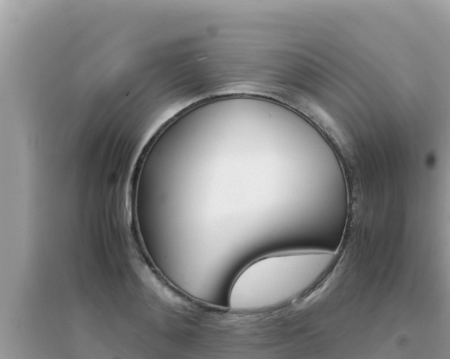 X0000095120892200712070940
