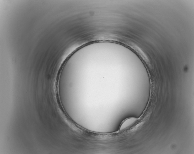 X0000095120893200712070940