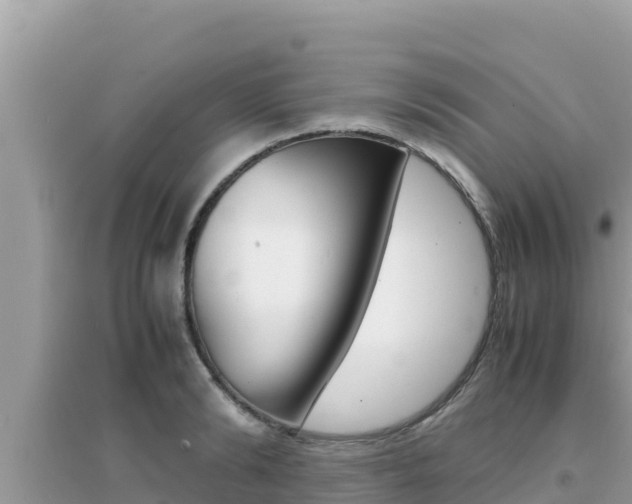 X0000095120894200712070940