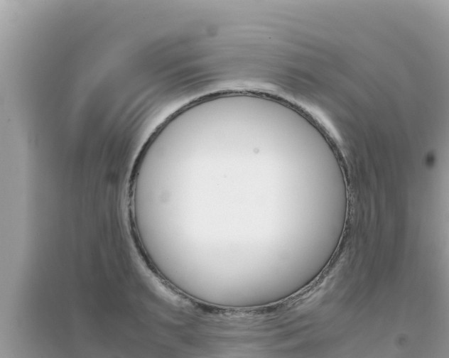 X0000095120895200712070940