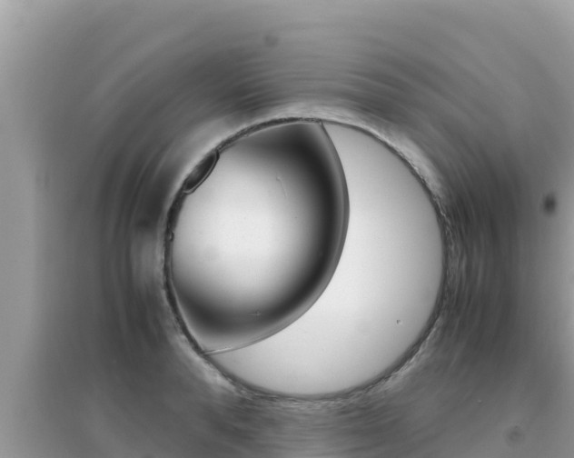X0000095120896200712070940