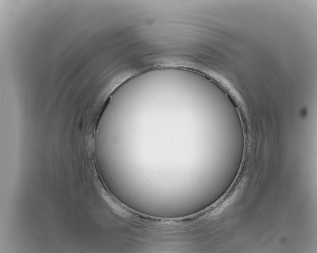 X0000095120897200712070940