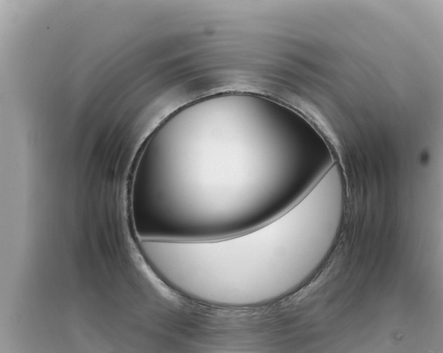 X0000095120898200712070940