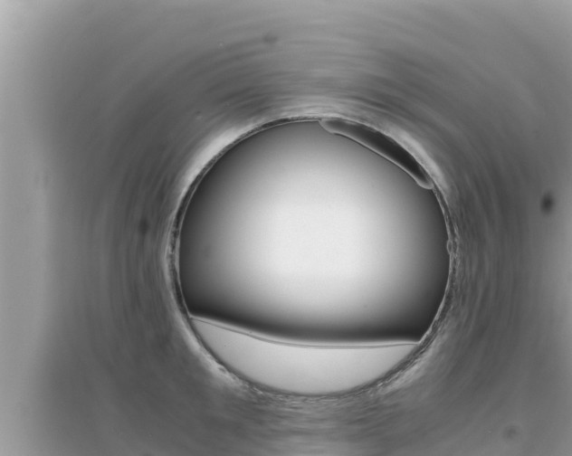 X0000095120901200712070940