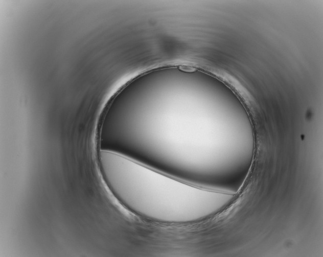 X0000095120902200712070940