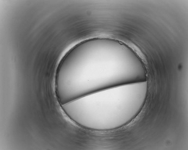 X0000095120904200712070940