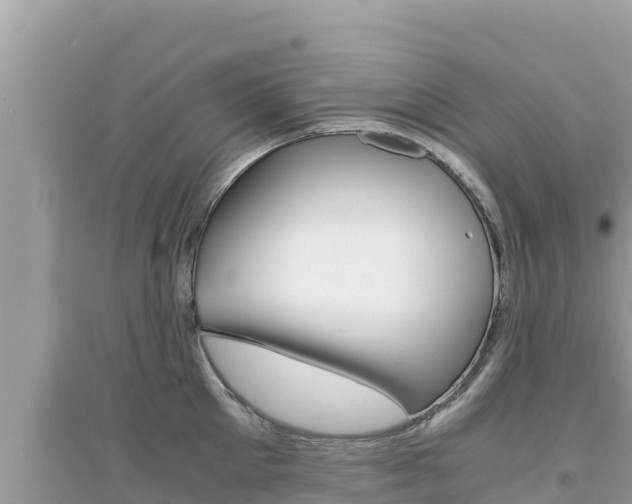 X0000095120905200712070940