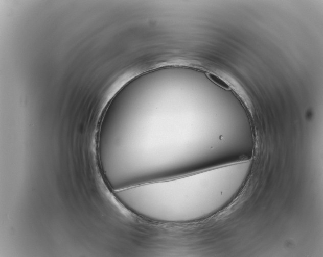 X0000095120906200712070940