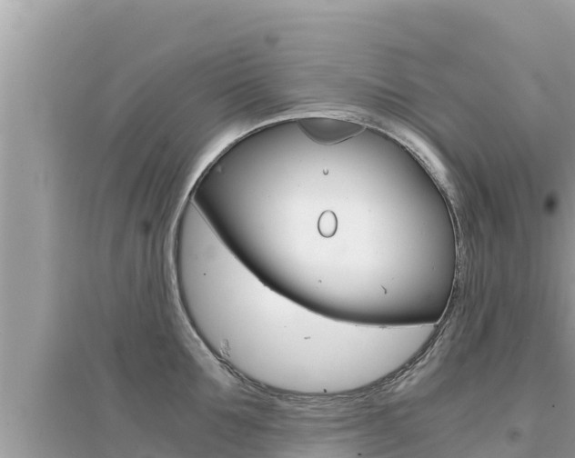 X0000095120907200712070940