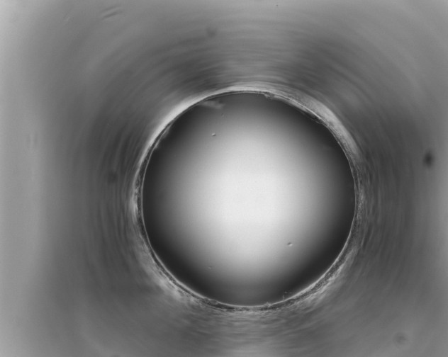X0000095120908200712070940