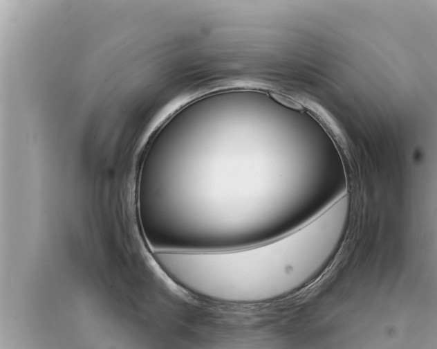 X0000095120910200712070940