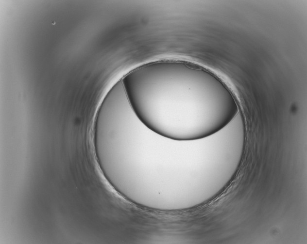 X0000095120911200712070940