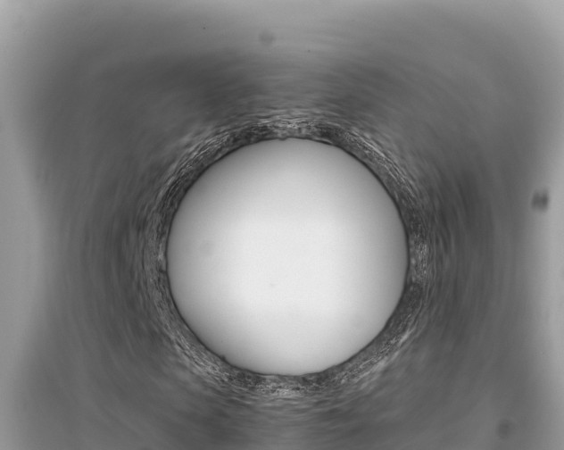 X0000095120913200712070939