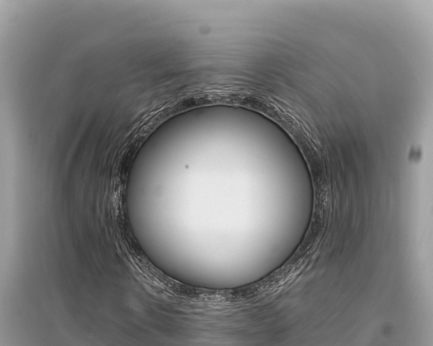 X0000095120914200712070939