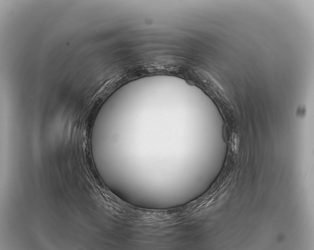 X0000095120915200712070939