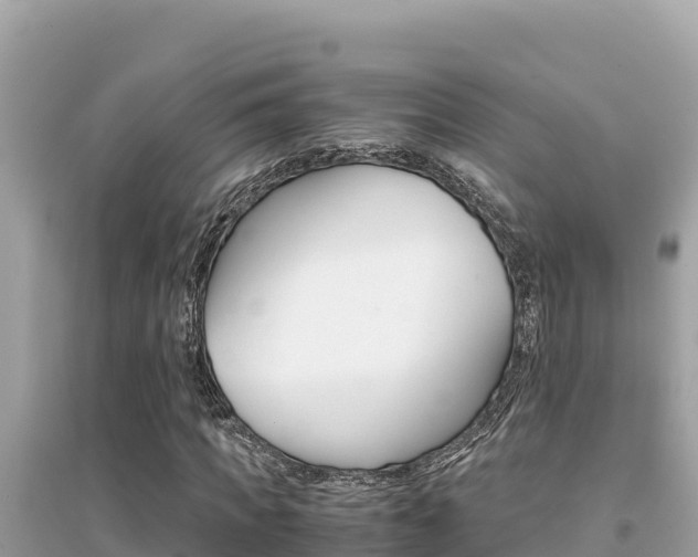 X0000095120917200712070939