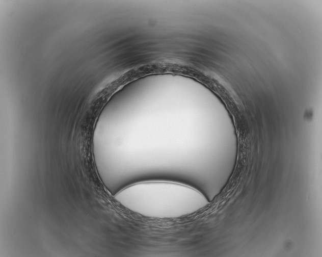 X0000095120919200712070939