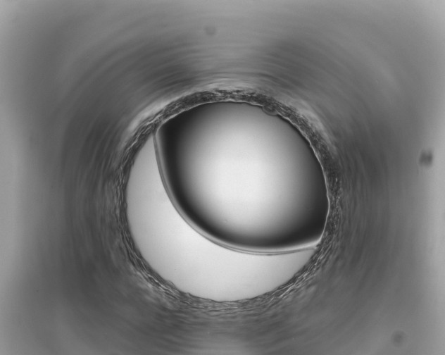 X0000095120920200712070939