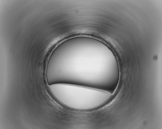 X0000095120922200712070939