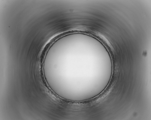 X0000095120923200712070939